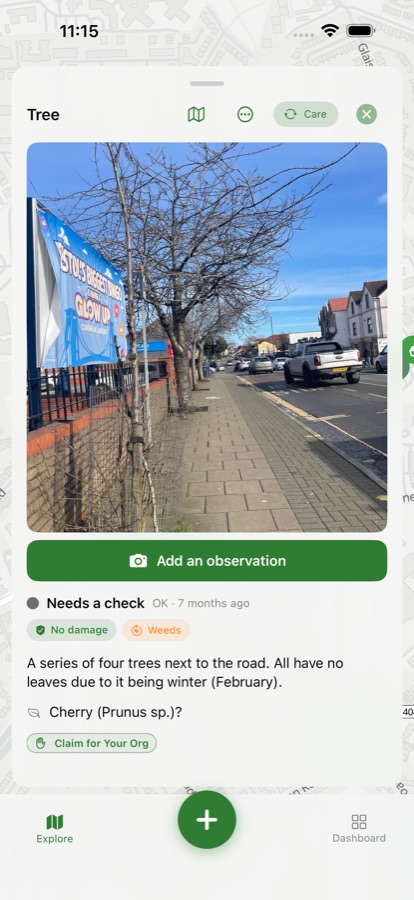 Urban Biome iOS app — a street tree's card, with its photo, latest condition reading and species