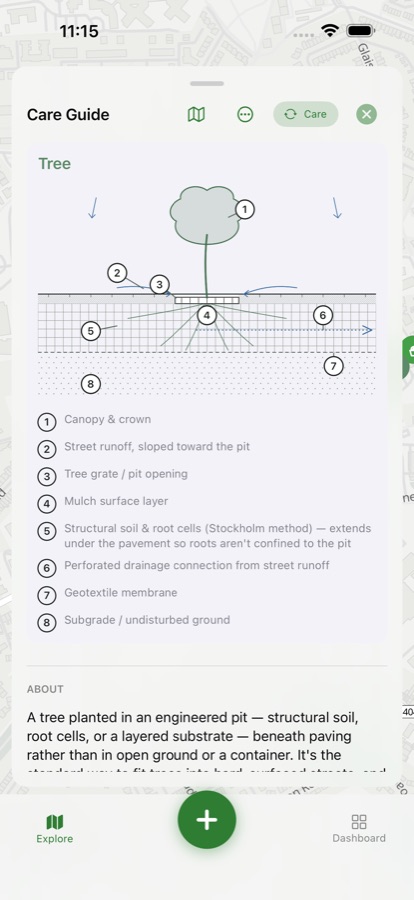 Urban Biome iOS app — the Care Guide for a street tree, with a labelled cross-section of the tree pit