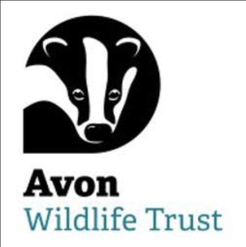 Avon Wildlife Trust logo