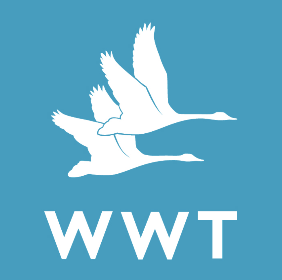 WWT logo